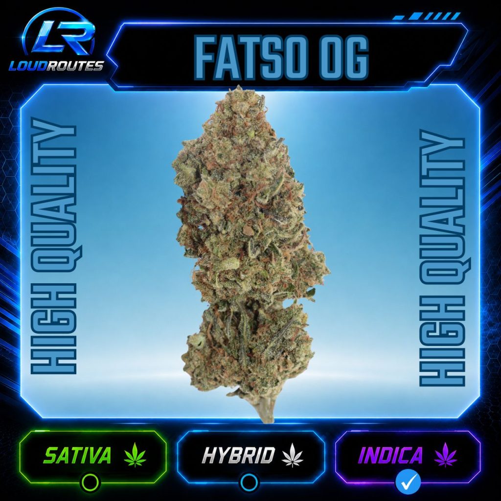 HQ FATSO OG FLOWER