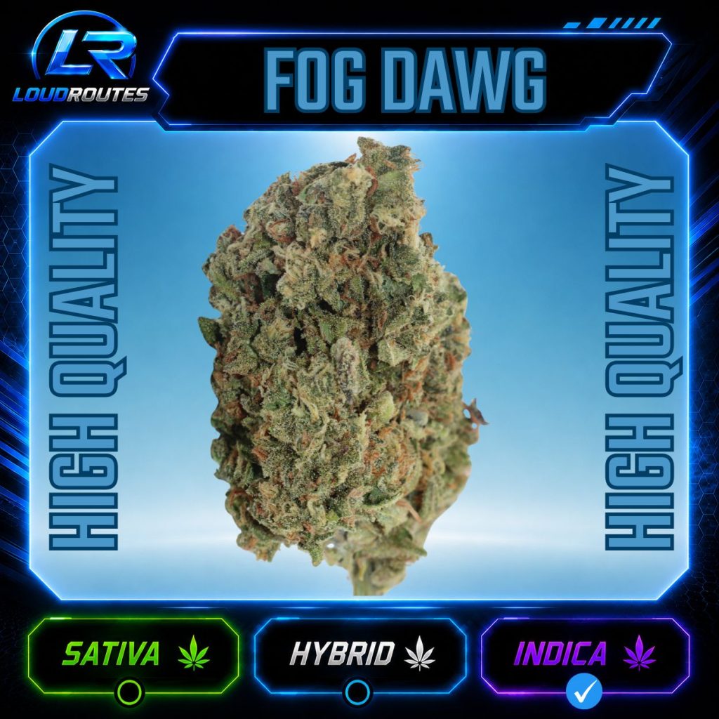 HQ FOG DAWG FLOWER
