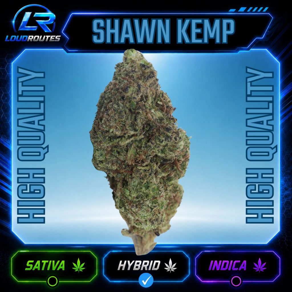 HQ SHAWN KEMP FLOWER