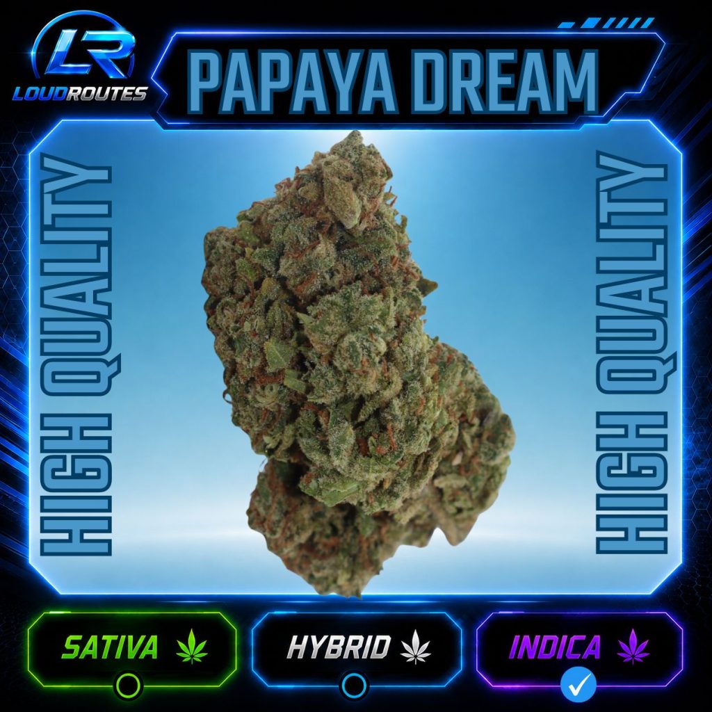 HQ PAPAYA DREAM FLOWER