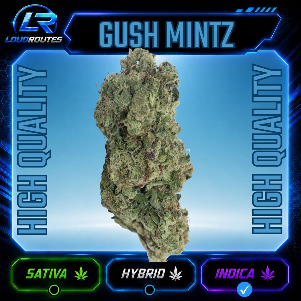 HQ GUSH MINTZ FLOWER