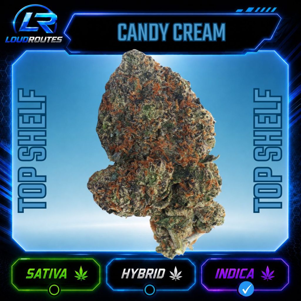 TOP SHELF CANDY CREAM FLOWER