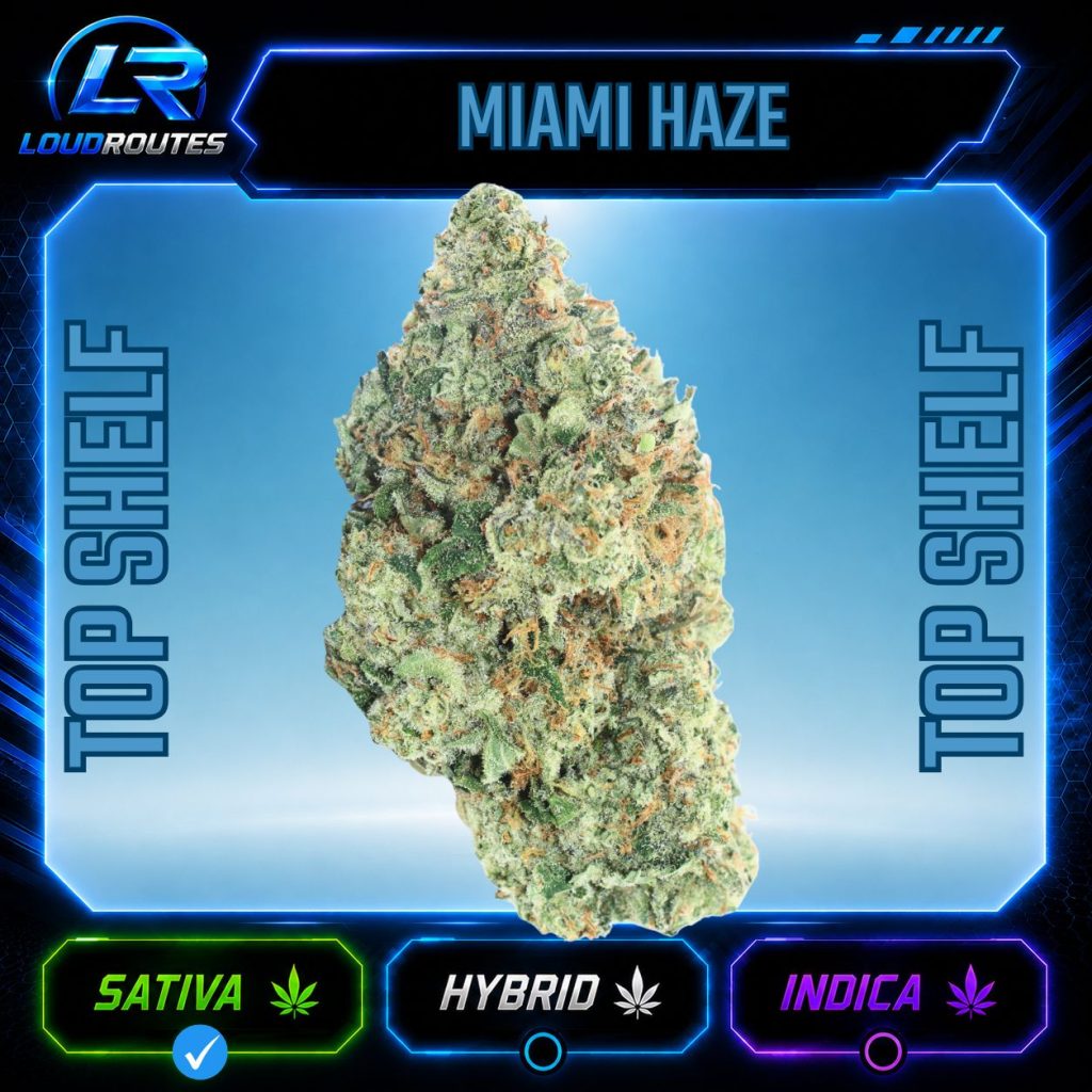 TOP SHELF MIAMI HAZE FLOWER