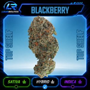 TOP SHELF BLACKBERRY FLOWER