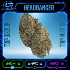 TOP SHELF HEADBANGER FLOWER